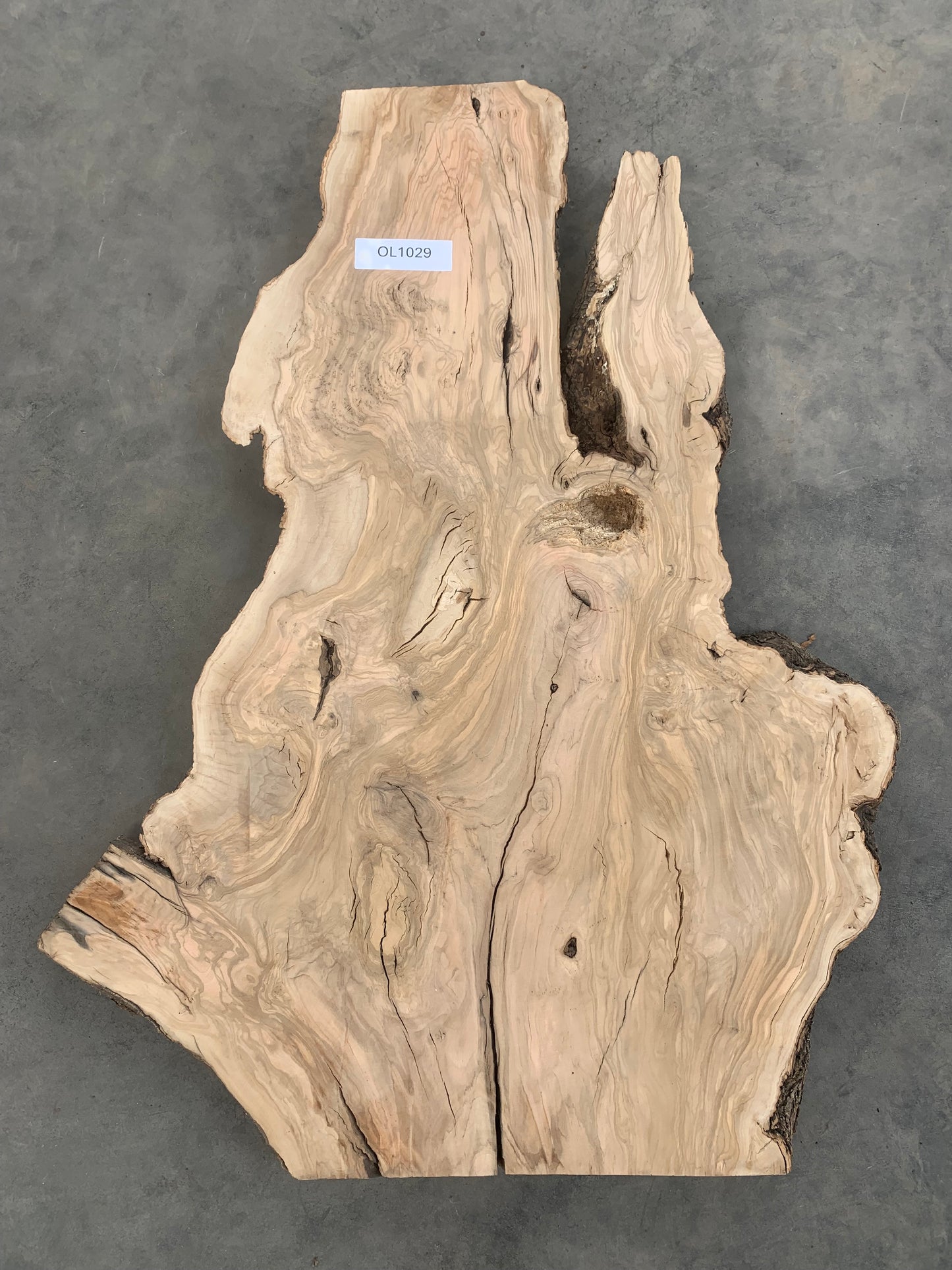 large olive wood slab