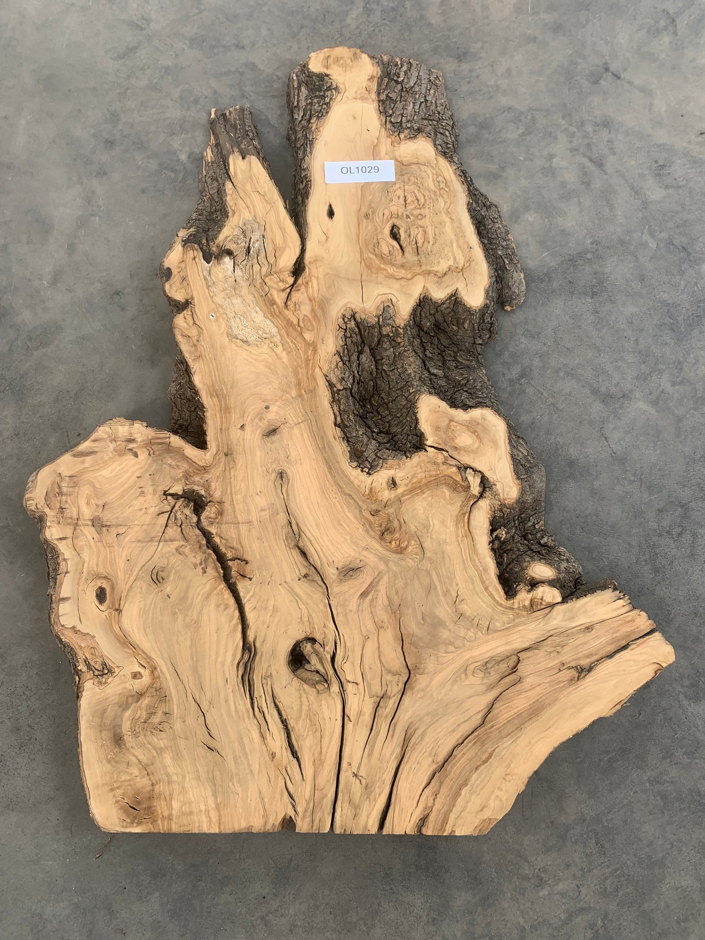 Large live edge olive wood slab