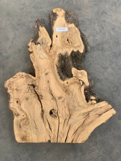 Large live edge olive wood slab