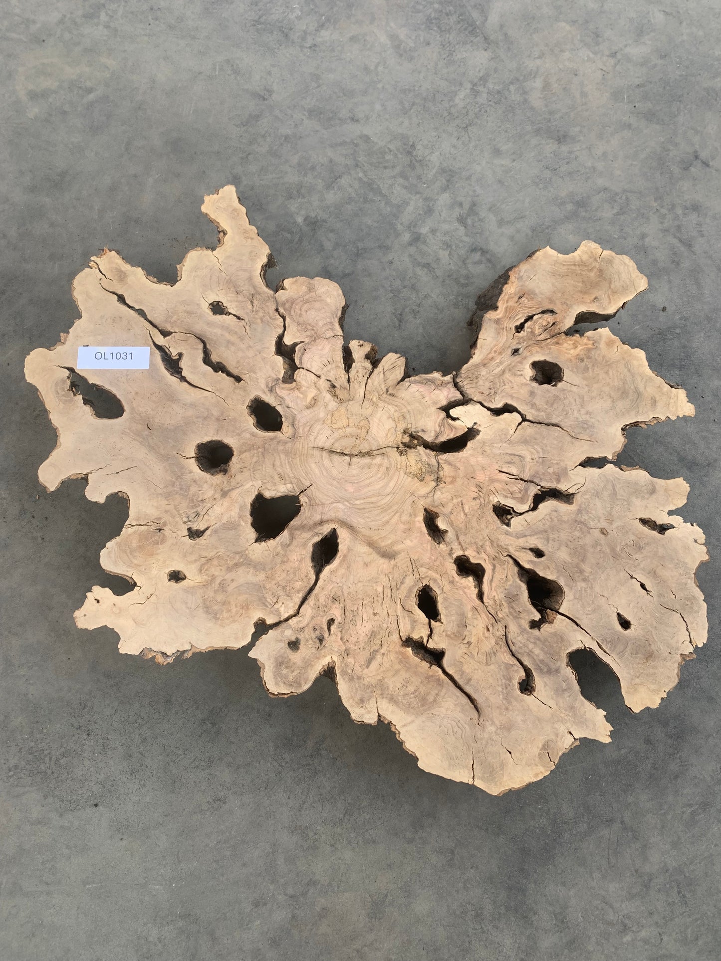 large olive burl slab for sale