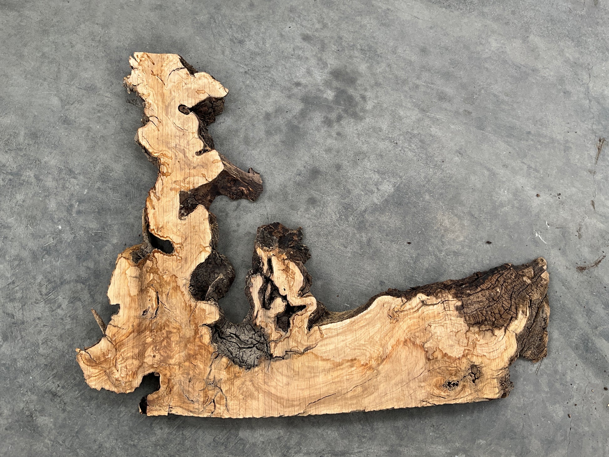 Live edge mission olive slab